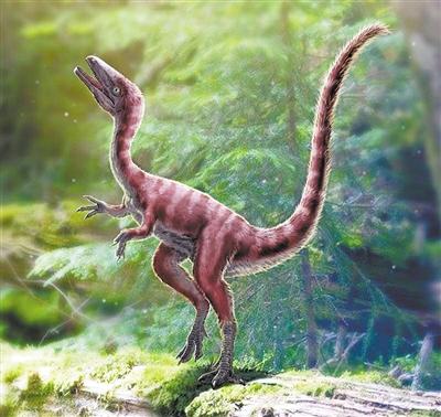 河北发现1.2亿年前美颌龙类新物种