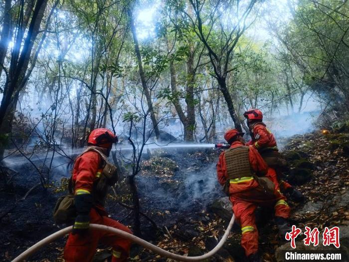 四川冕宁县石龙镇森林火灾:上千救援力量奋战火场扑救