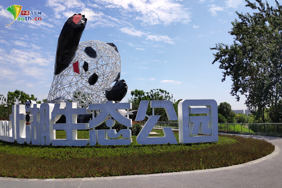 在公园的南门广场,高达16米的镂空熊猫雕塑也已经安装到位,市民和游客