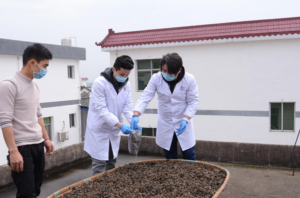 检测人员在对黑木耳进行抽样.罗贵芬 摄