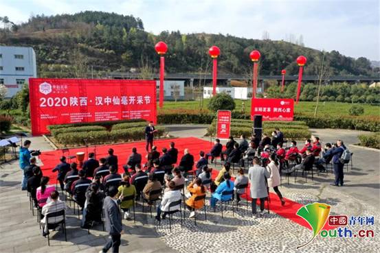 微信图片_20200318171306_副本