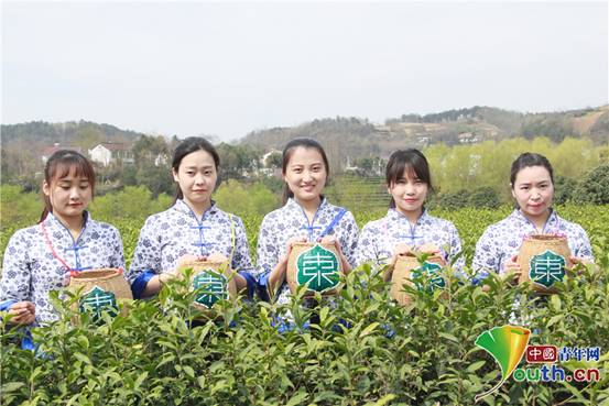 微信图片_20200318171258_副本