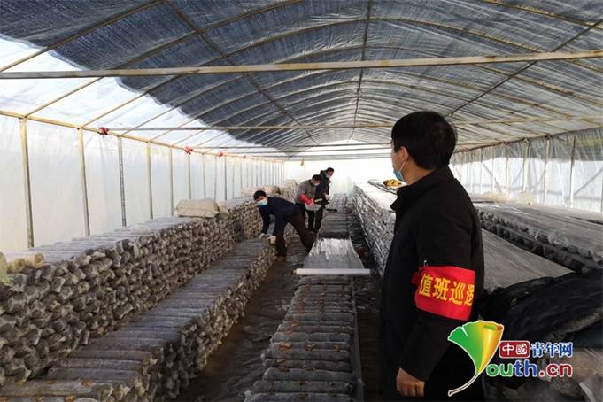 南召县产业发展指导员、白土岗镇柳树沟村驻村干部朱振在指导群众为香菇接菌种。