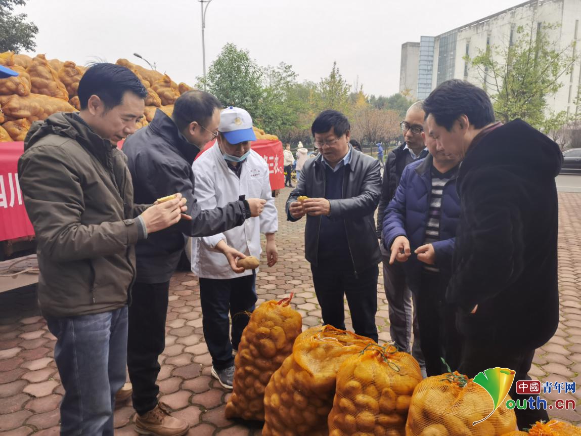 甘孜州巴塘县生态土豆送达西华大学