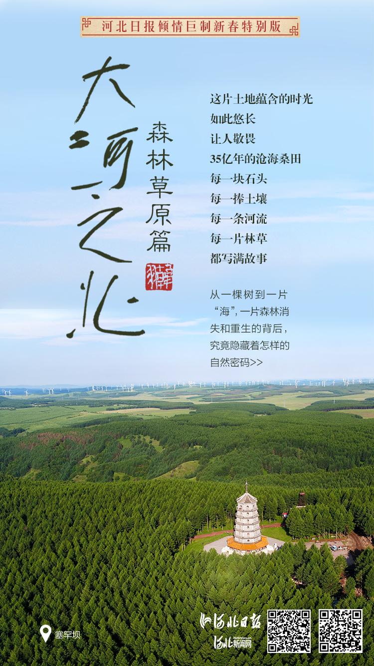 大河之北·森林草原篇