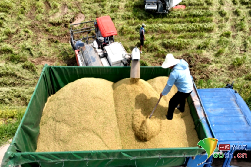 2025年供电所年度工作总结优秀范文