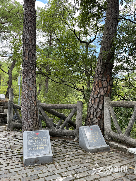 稳中求进高质量发展瑞金华屋村传承红色基因红军村旧貌换新颜