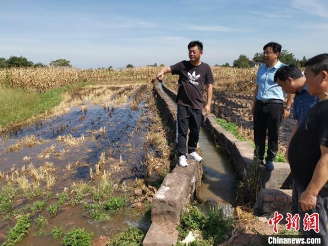 重庆31个区县遭受干旱灾害升级抗旱应急响应至Ⅲ级