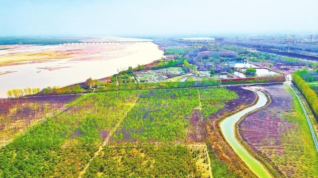 布局“两区三屏”！河南开展科学绿化试点示范省建设