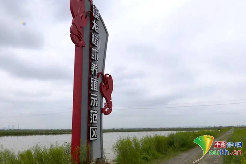 说明: .3
