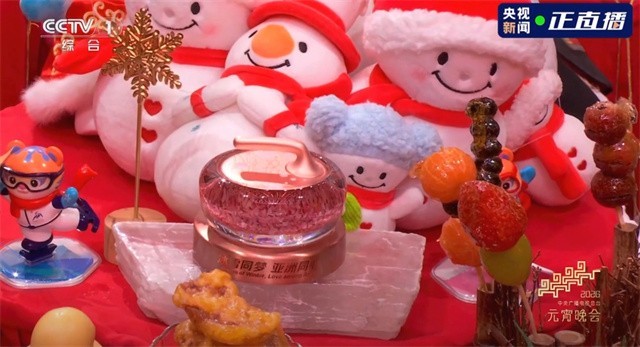 雪打灯歌满城！哈尔滨亮相总台元宵晚会冰雪赋能向新而行(图6)