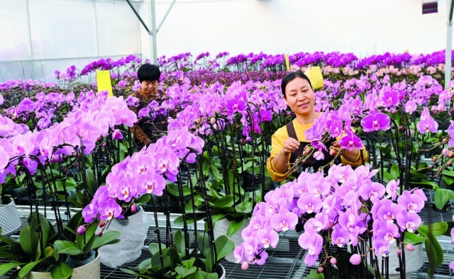 田园沃野焕新颜——石家庄市扎实推进宜居宜业和美乡村建设(图2)