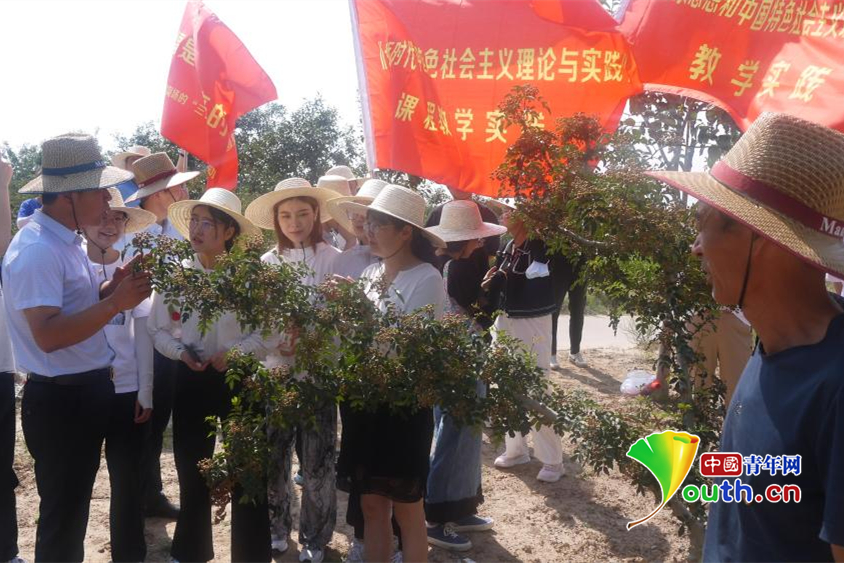 西安工业大学：把思政教育课上在田间地头
