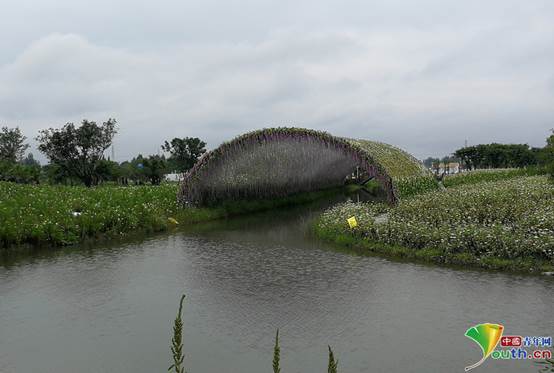 说明: IMG_20180802_110132_副本.jpg