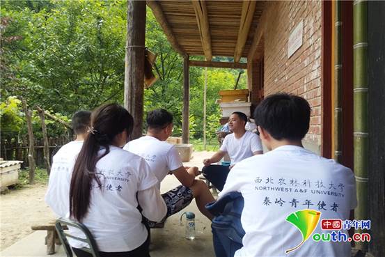 志愿者实地调研中蜂养殖困难_副本
