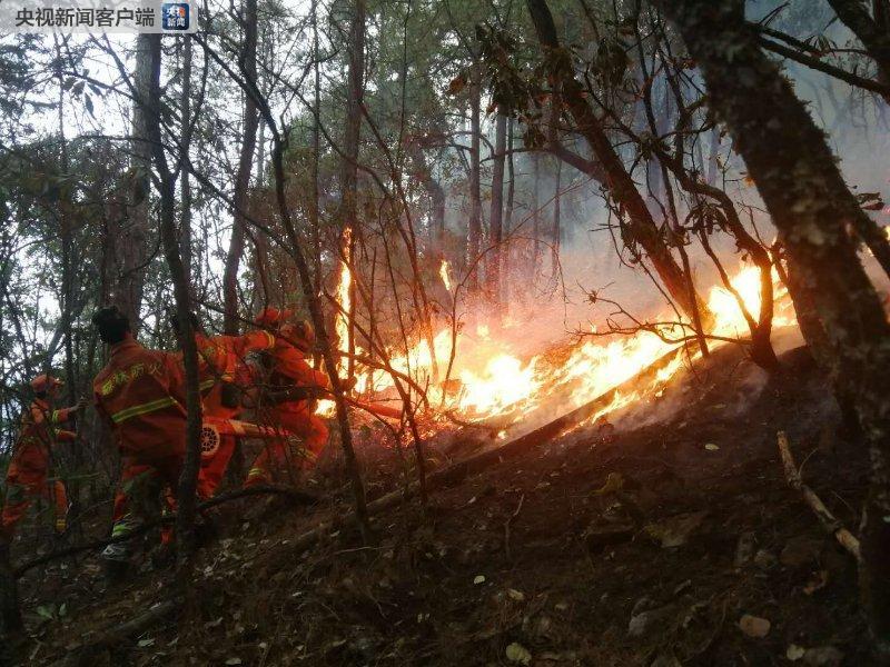 凉山州两县森林火灾在扑救 越西山火已灭