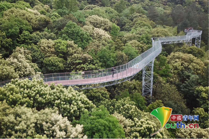 江西大余:生态美景惹人醉
