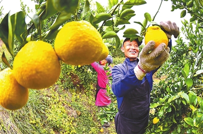 踏遍青山人未老 风景这边独好——好客会昌欢迎您_地方新闻_中国青年