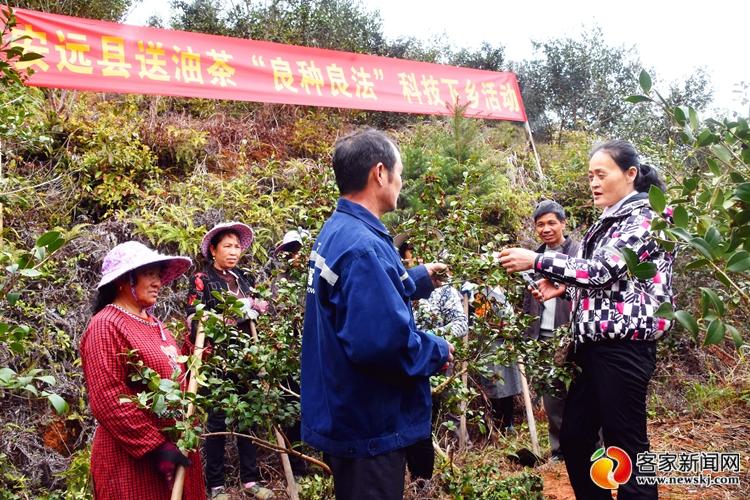 赖庚金 李欣欣 特约记者孙金玉报道 3月9日,江西省赣州市安远县林业