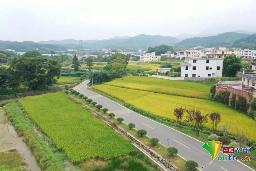 赣州章贡区围绕交通打造乡村振兴路