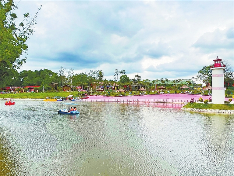 走进赣州经开区凤岗镇,只见大地绿意盎然