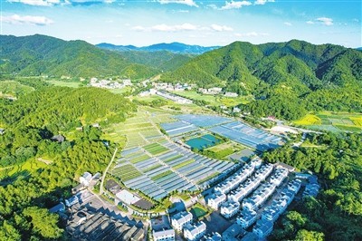 聚力打造两地五区谱写瑞金发展新篇章