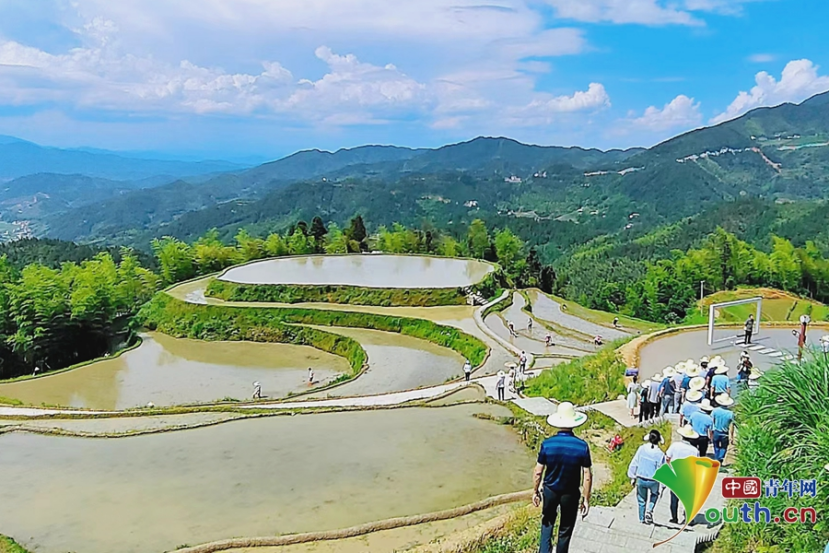 遂川桃源梯田门票图片