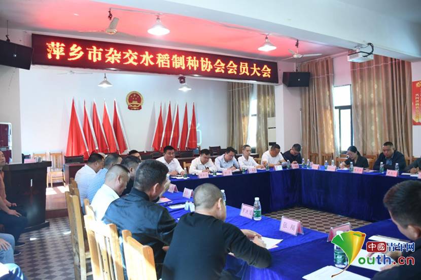 说明: 图片13_副本