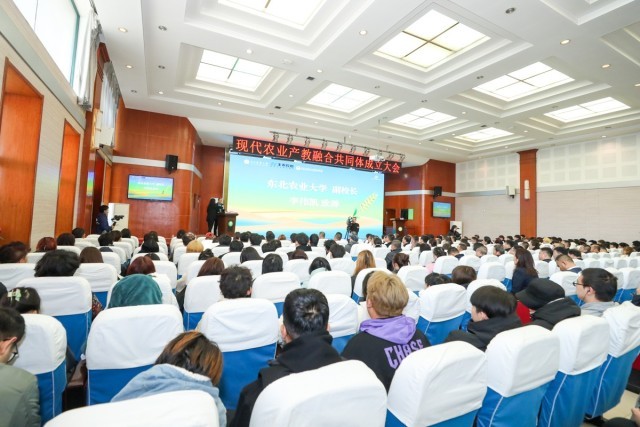 在线教育平台：开启学习的新篇章