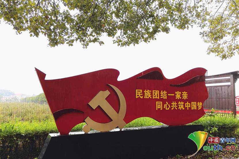 说明: 洋林3_副本
