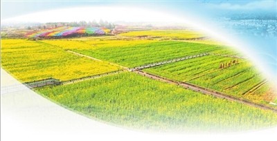 望山见水忆乡愁安义县黄洲镇高质量实施乡村振兴战略侧记