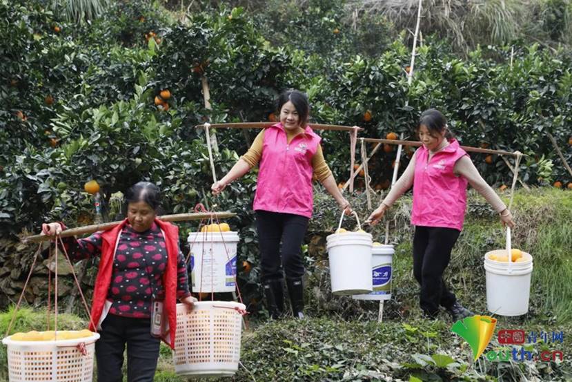 说明: D:/Desktop/志愿者.jpg志愿者