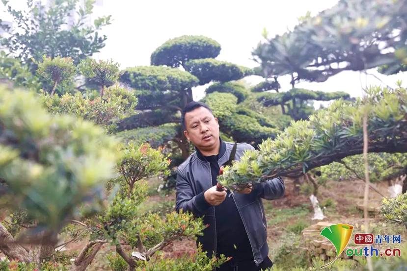 说明: 5._副本