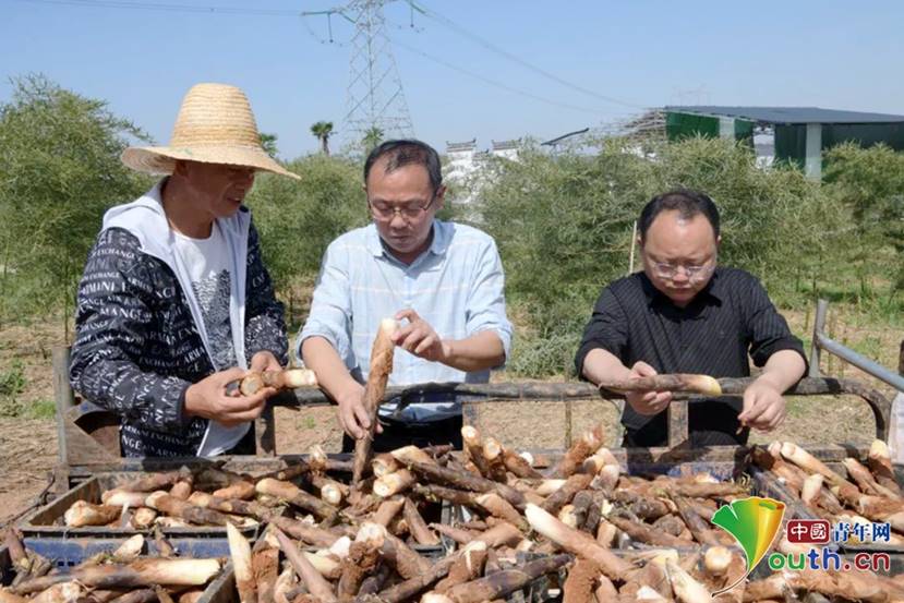 说明: .5