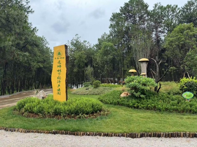 【团结花开彩云南】云南永胜：立足资源优势 撑开山区各族群众致富伞