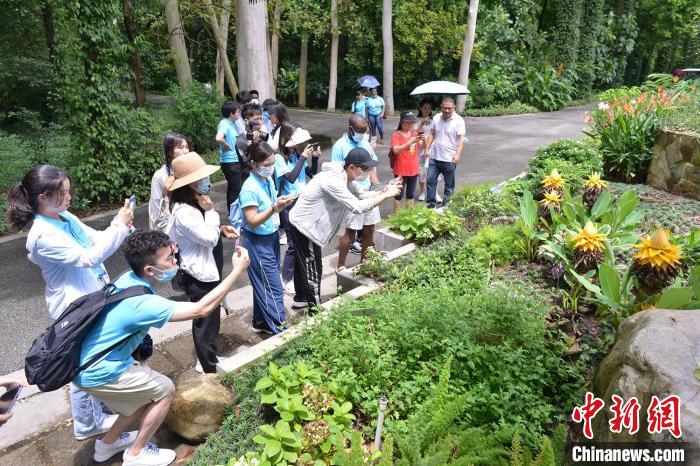 中外青年来到华南国家植物园 宋祯仪 摄