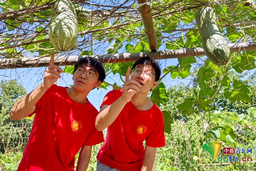 说明: 图片9