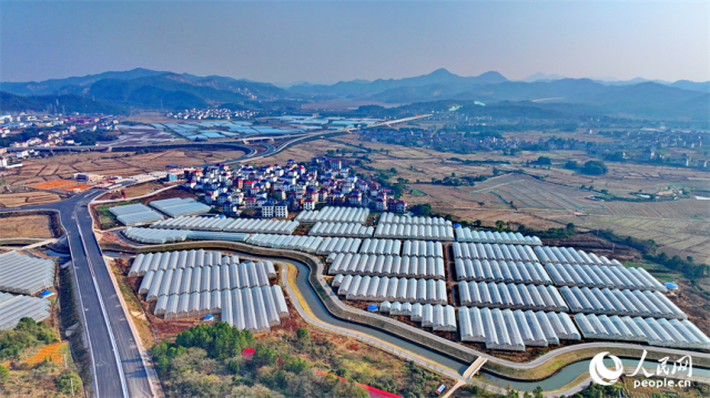 抚州市东乡区孝岗镇，纵横交错的公路与鳞次栉比的大棚相得益彰。人民网 朱海鹏摄