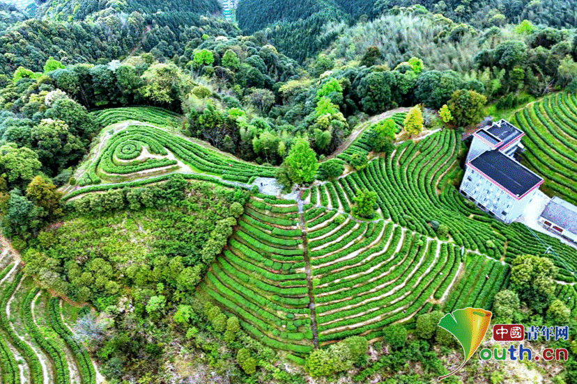 微信图片_2026-04-01_155557_797