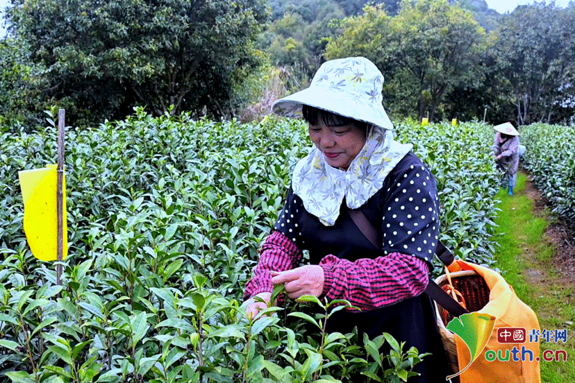 微信图片_2026-04-01_155611_198