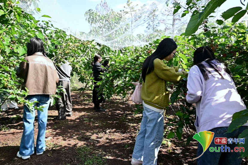 微信图片_2026-04-14_134536_582_副本