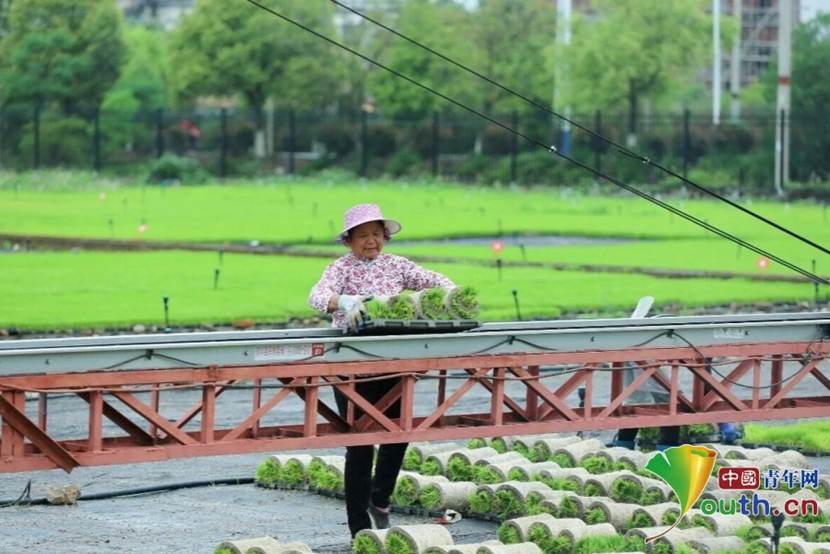 微信图片_2026-04-15_103317_384_副本