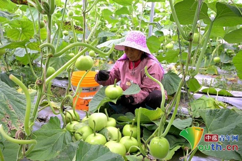 微信图片_2026-04-15_103358_895