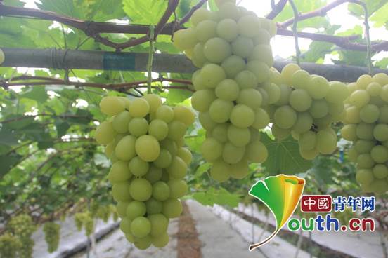 说明: IMG_8173